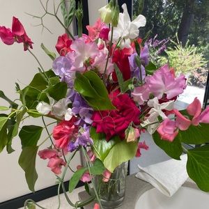 Meet your Posher, Gilda